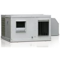ECONO250AY1